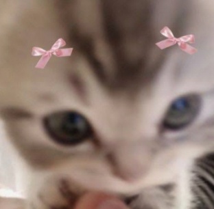 туторчики :3