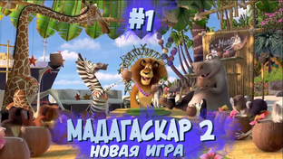 Мадагаскар 2 (игра) [Прохождение] | Play GH