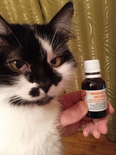 Воспоминания жены алкоголика