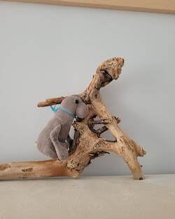 Настраиваемся на приключения