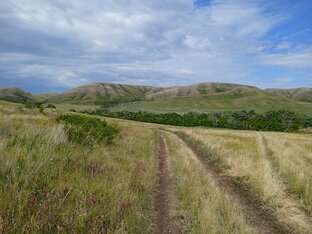 Карамурунтау