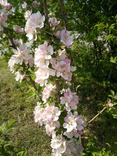 Что бы помнить