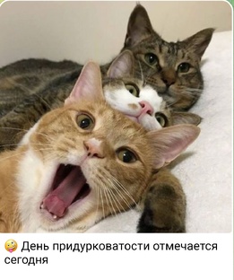 Удивительные животные