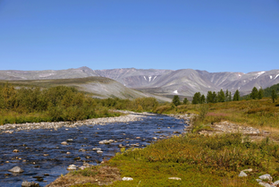 Путешествуем вместе