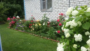 Видео прогулки по даче