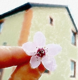 🌸Весна в Анапе