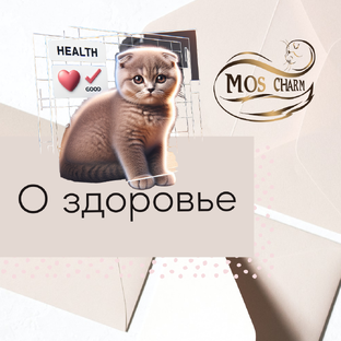 О здоровье котят