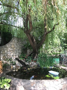 Моя география