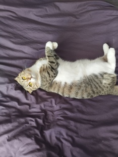 Кооооошка 🙃🙃🙃🙃🙃🙃🙃 