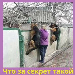 Грамматика