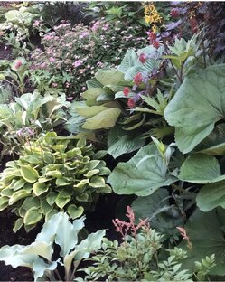 Садовые рассказы 