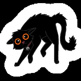 Котики 