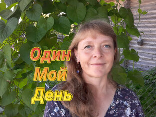Один Мой День