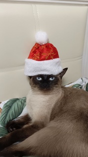 🎁Распаковки🎉,подарки,праздники,юбилеи ✨😂🎉