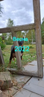 весна