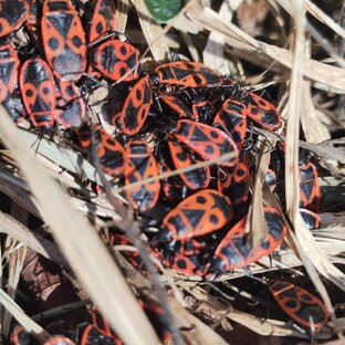 Природа-Погода