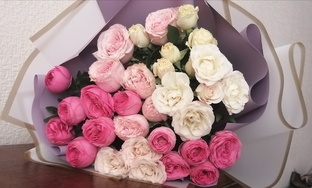 Мои любимые стихи 