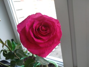 Как арканы проявляются в жизни