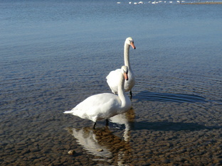 Путешествую не спеша