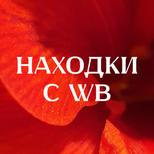 Подборка/находки с WB