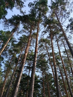 Красота, здоровье, уход