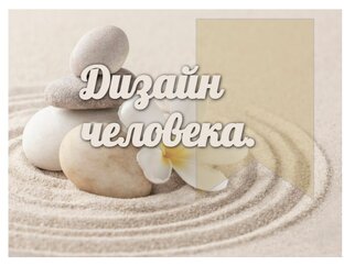 Дизайн человека, ознакомление для начинающих