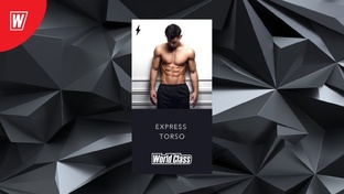 Torso (тренировки на верхнюю часть тела)