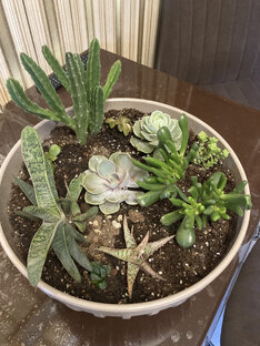 Зеленый дом счастья