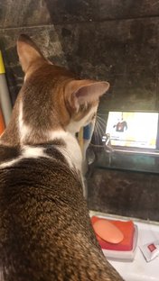 Про советское кино