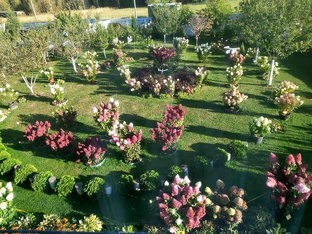 Обзорное видео