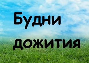 Будни дожития