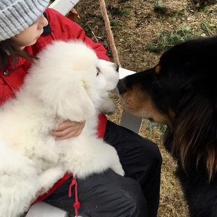 СВЕТ ПОСАДА АСТРИД