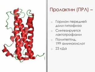 Пролактин и гиперпролактинемия 