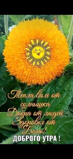 Тёплое ваше сердечко 