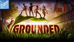 Grounded