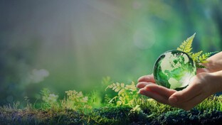 Здоровье от природы