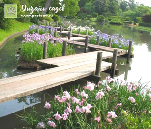 Сад с высоким уровнем грунтовых вод