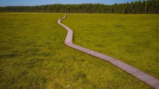 Экотропы