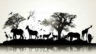 Животные