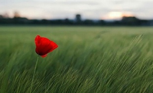 Истории из жизни 💔