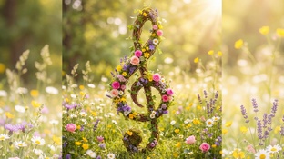 Звуки природы ☯️