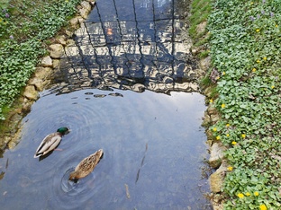 Красота вокруг нас