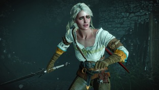 Ведьмак | The Witcher 