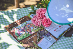 Обзоры журнала 