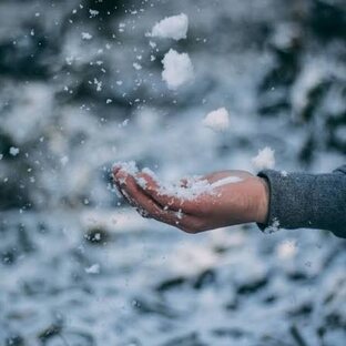 Из жизни отдыхающих