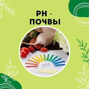 Про кислотность почвы