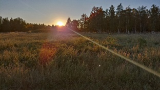 Доброе утро!