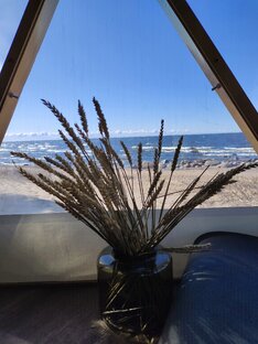 Истории из жизни