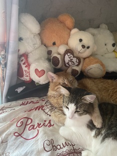 Что-то о нас 🤗 Или жизнь без прекрас 😍