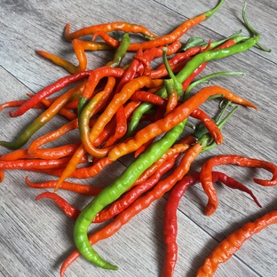 Про перцы 🌶 